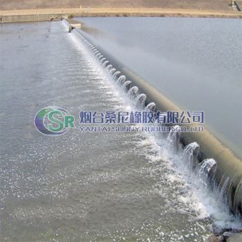 Õhuga täidetud kummist tamm