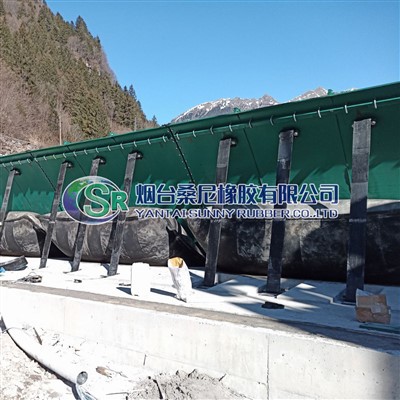 Müügil täispuhutav vesi või õhuga täidetud kummist tamm